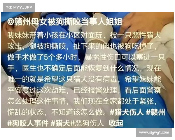 揭示捕捉游侠宠物过程中最易被忽视的十大典型误区与应对策略 揭示捕捉游侠宠物过程中最易被忽视的十大典型误区与应对策略