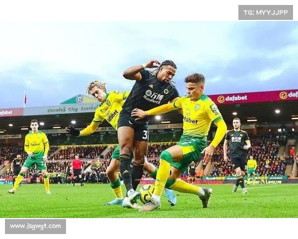 全面解读加的夫城足球俱乐部在各大联赛中的历史与现状发展解析探