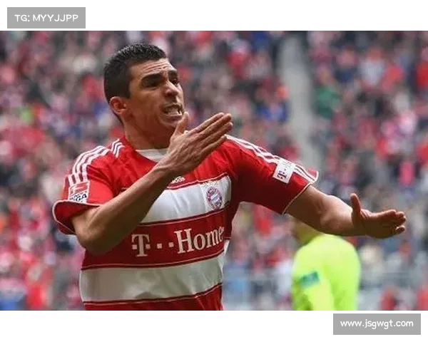 拜仁体育场辉煌历程及全球十大传奇体育场发展纵览