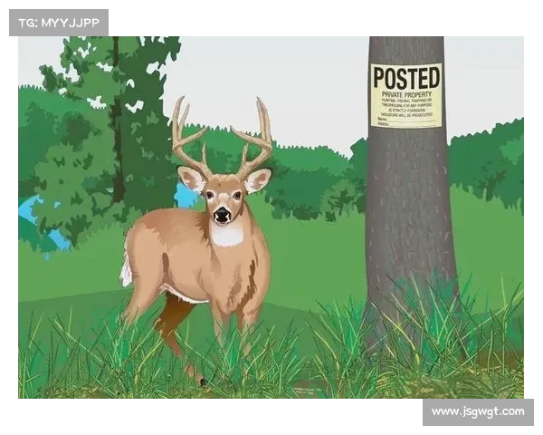 掌握索尔坎贝尔独特踢球技巧提升防守能力的全面指南