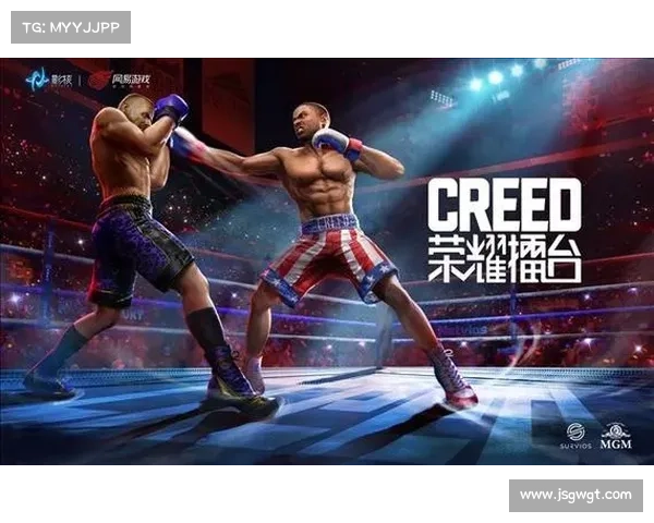 拳击赛事激情四溢：赛制创新与节目内容深度解析