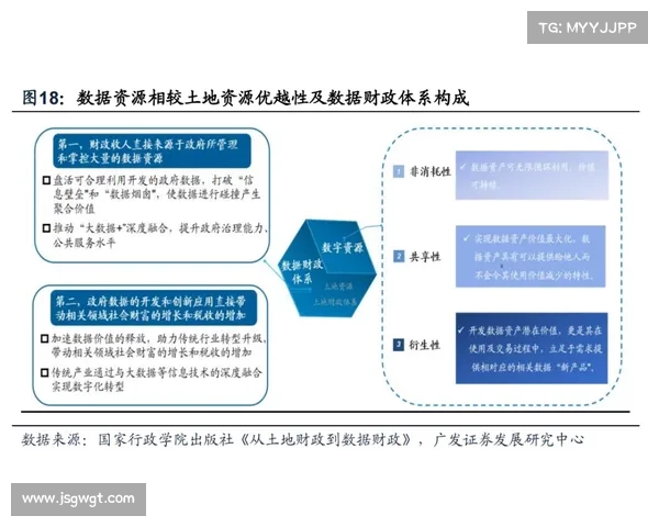 斯坦福桥五大组织特点深度解析与战略布局探讨